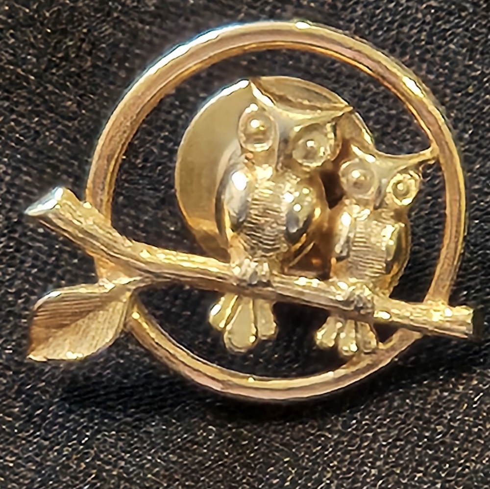 Cute Avon owls pin